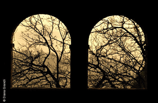 Diana Grandi Photographic Workshops