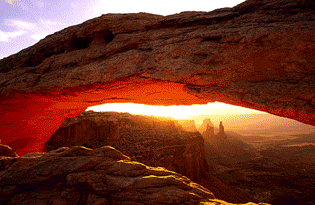 Branson Reynolds Photographic Adventures