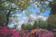Washington Photo Safari™