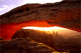Branson Reynolds Photographic Adventures