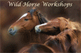 Wild Horse Photography Workshops in , MT